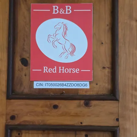Red Horse Bed & Breakfast Pisa